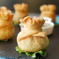 potli-samosa