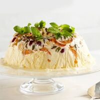 fruit-and-nute-icecream