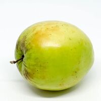 applebor